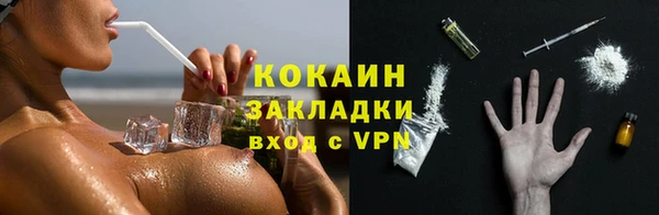 трава Ессентукская