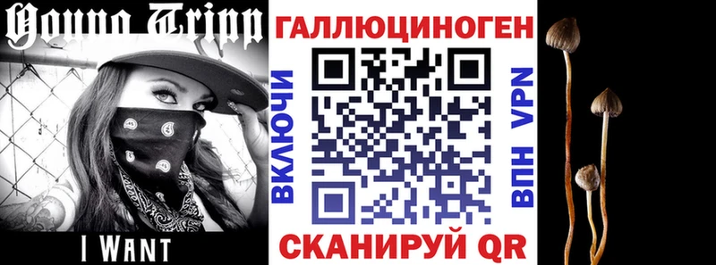 что такое наркотик  Белая Калитва  Псилоцибиновые грибы Cubensis 
