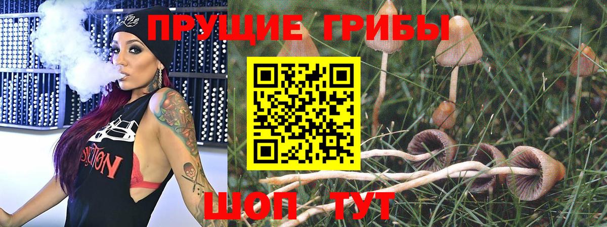 Псилоцибиновые грибы ЛСД  Вход с VPN  Белая Калитва 
